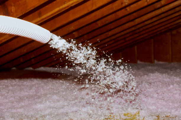 Best DIY Insulation Kits and Guidance in Nooksack, WA