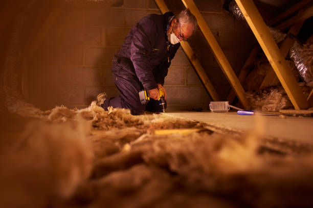 Types of Insulation We Offer in Nooksack, WA